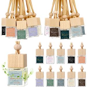 30 Pcs Appreciation Gift Bulk for Coworker Inspirational Empty Hanging Car Air Freshener Diffuser, Sometimes You Forget Your Awesome Thank You Gifts for Nurse Staff Teachers