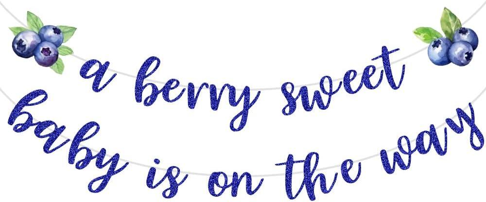 A Berry Sweet Baby is On The Way Blueberry Banner Garland for Boys Girls Baby Shower Party Decorations Supplies