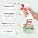 Natures Miracle Urine Destroyer Plus Dog, 32 Ounces, Enzymatic Formula, Ready-to-Use