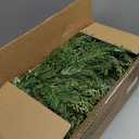 Christmas Garland with 50 Lights 9 Ft, Prelit Xnas Garland with Cypress Leaf, Battery Operated Christmas Decor for Mantle Staircase Indoor and Outdoor (Tips-A-Plug-in)