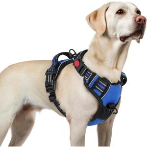 Rabbitgoo Dog Harness for Large, No Pull Pet Harness with 3 Buckles, Adjustable Soft Padded Vest with Control Handle, Walking Reflective Pet Vest for Large Dogs, Blue, L