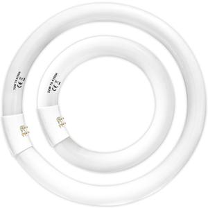 FC8T9/CW 22W and FC12T9/CW 32W Cool White Set, 8 inch T9 22 Watts Circular Light Bulbs, 12 inch 32 Watts Circline Fluorescent Bulb Round Ring Bulb CRI 80, G10q Prong