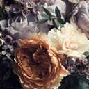 Reyhui Floral Wallpaper Mural for Bedroom Orange Flower Wall Mural Living Room (not self-Adhesive)