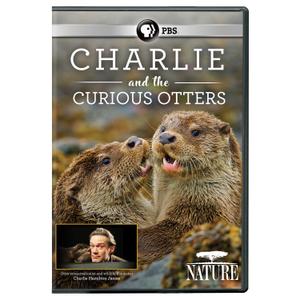 NATURE: Charlie and the Curious Otters DVD