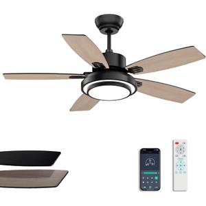 Fanbliss Ceiling Fans with Lights and Remote Control for Bedroom, 42 Inch Black Small Modern Ceiling Fan with Quiet Reversible DC Motor, 3CCT, Dimmable, LED for Living Room, Patio, Indoor and Outdoor | with Remote Control, with Quiet Reversible DC Motor, LED, Dimmable, Indoor and Outdoor, for Bedroom, for Living Room, for Patio