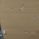 HongFengtang Chinese Rice Paper Print China Flower And Bird Bamboo Frame 54.3 X 28 Inches (Large A)