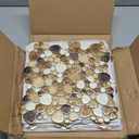 Yellowstone Matte Pebbles Mosaic Tile for Shower Floor Bathroom Floor Tiles Non Slip [5 Sheets]