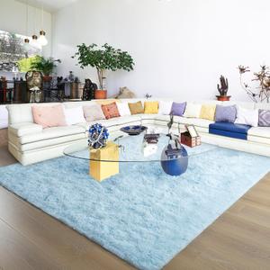 Ultra Soft Light Blue Rugs for Bedroom 8x10 Feet, Fluffy Shag Area Rugs for Living Room, Large Comfy Furry Rug for Boys Kids Baby Room Decor, Non Slip Nursery Rug Modern Indoor Fuzzy Floor Carpet