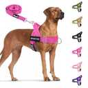 SlowTon No Pull Dog Harness - Heavy Duty Dog Harness and Leash Set for Medium Large Dogs, Reflective Tactical Harness with Soft Padded and Front Clip for Easy Walk and Training (Fuchsia S)