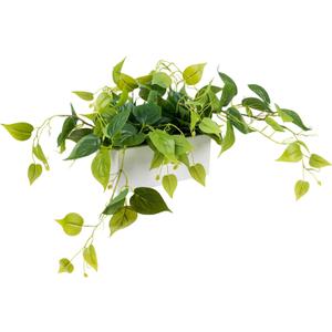 MyGift Vibrant Lifelike Artificial Plant Pothos Leafy Vine Greenery in White Concrete Rectangular Planter Box