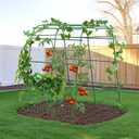 HIRALIY Garden Arch Trellis for Climbing Plants, 6.3ft Tall Heavy Duty Metal Cucumber Trellis, Rustproof Plant Support Tunnel for Tomato, Grape, Bean, Raised Bed and Vegetable Gardens, Green, 63"L x 68"W x 76"H-Arch Trellis