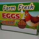 Fresh Eggs for Sale Sign, 18x24 DS Coroplast, Large Outdoor Farm Fresh Eggs Sign with Blank Space for Personal Info