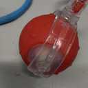 2Pcs Tinyfetch Dog Toy, Interactive Dog Cat Toys Balls with Birdsong, Rechargeable 360 Smart Automatic Rolling Electric Dog Ball Toy with Rope for Pets Indoor & Outdoor Play (Red+Blue)