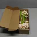 Floroom Ranunculus Artificial Flowers 18 Pcs Champagne Faux Silk Mini Ranunculus Bulk Fake Wedding Filler Flowers for DIY Cream Bouquets, Centerpieces, Bridal Shower Decorations & Arrangements