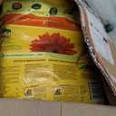 Miracle-Gro Potting Mix - For Container Plants, Flowers, Vegetables, Shrubs, Annuals, Perennials, Potting Soil Mix, Feeds up to 6 Months, 8 qt. (2-Pack)