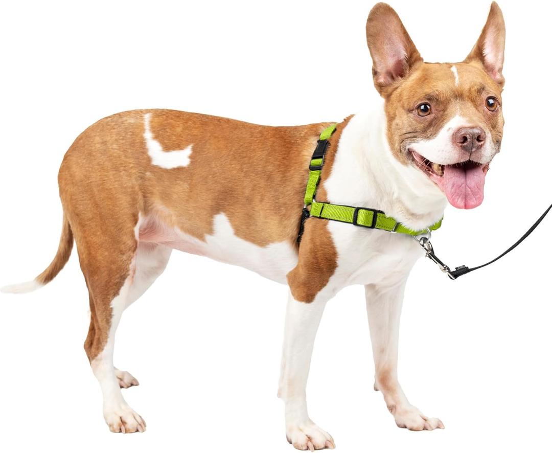 PetSafe Easy Walk Deluxe Dog Harness, No Pull Dog Harness  Perfect for Leash & Harness Training  Stops Pets from Pulling and Choking on Walks  Medium, Apple (Medium (Pack of 1))