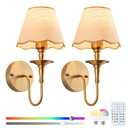 EIDISUNY Battery Operated Wall Sconces Set of 2, Rattan Shade Wireless Wall Sconces, RGB Rechargeable Dimmable, Brass-Color Vintage Wall Sconce for Bedroom, Living Room, Hallway Bulbs Included