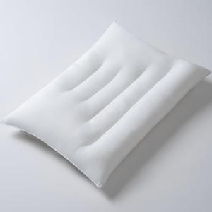Pozino Flat Thin Pillows for Sleeping - Queen Size Slim Bed Pillows for Side Back Stomach Sleepers,2.5 inch Height Ultra Low Pillows,Down Alternative Filling Luxury Soft Supportive (White)