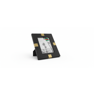 NV Black & Gold 4x6 Frame