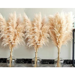 40" Tall Pampas Grass 16 Stems Natural Pompas Grass for Wedding, Party, Farmhouse, and Boho Home Decor
