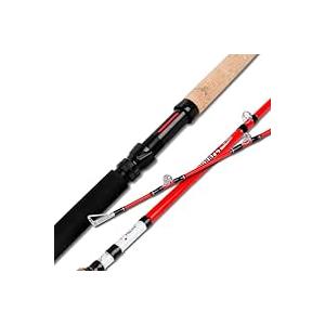 Fiblink Catfish Fishing Rods 12'Catfish Pole 2 Piece Portable Travel Cat Catfishing Casting Rod Extra Heavy Catfish Rod with Cork Handle