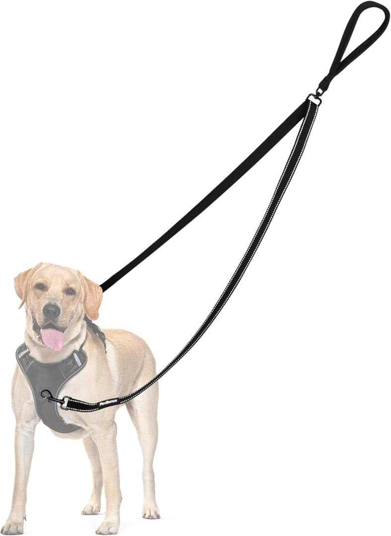 PetBonus Two Point Control Dog Leash, Works with No Pull Harnesses, No Tangle Training Leashes, Soft Padded and Reflective Walking Lead, Converts to Single Lead for Medium Large Dogs (Black) 4ft length