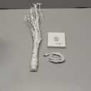 EAMBRITE Home Decorations Light Up White Birch Tree Indoor Christmas Decor, 1 Pack Battery Operated/USB Lighted Tabletop Money Tree Lamp Led Lights Xmas Wedding Centerpiece Table Room (2 Ft) 1 Pcs