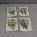 Lasnten 200 Pcs Mini Dried Babys Breath Flowers Bulk White Dried Pressed Natural Flowers Real Gypsophila Baby Breath for Wedding Resin Art Craft DIY Invitations Card Making Home Party Floral Decor