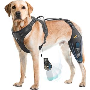 Dollephi Dog Knee Brace for Torn acl hind Leg with Adjustable Hinge Stabilizer, Dog Back Brace for Osteoarthritis, Dog Leg Brace Support for Cruciate Ligament Injury, Recovery After（Left Leg, L)