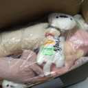 40 Pcs Mini Plush Stuffed Animals Bulk School Party Favors for Kindergarten End of School Years Gifts for Students (Graduation)