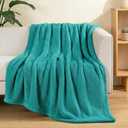 Exclusivo Mezcla Soft Fleece Throw Blanket for Couch, Super Soft Velvet Plush Fleece Blankets, Fuzzy Cozy and Warm for Winter, 50x60 Inches, Teal