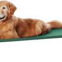 Amazon Basics Cooling Breathable Elevated Dog Bed with Metal Frame for Large Dogs, 51 x 31 x 8 Inch, Green