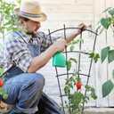 Thealyn 4 Pack 32" Metal Plant Trellis for Pots & Garden Beds, Rustproof Support for Indoor Outdoor Climbing Plants, Vines, Flowers, Fan Shaped, Black