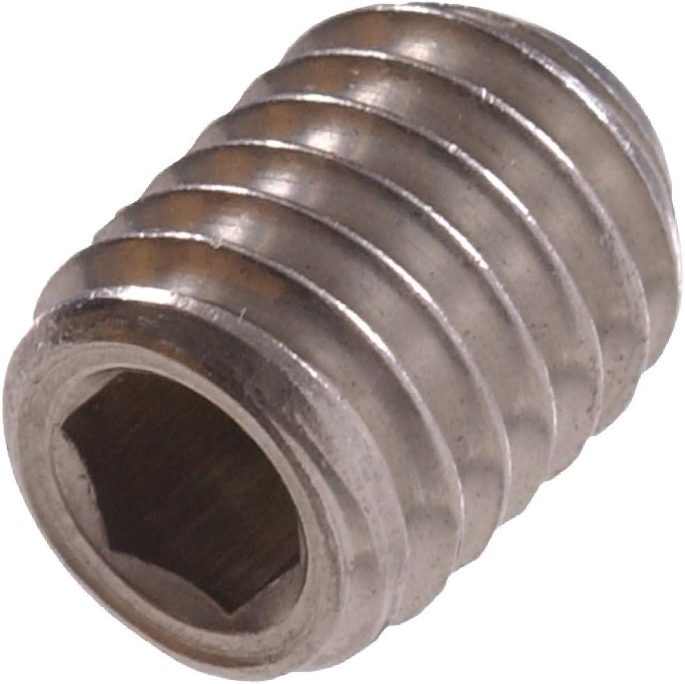 The Hillman Group 4427 M6-1.00 x 12mm Metric Stainless Steel Socket Set Screw (10-Pack)