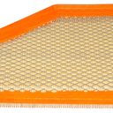 ACDelco GM Original Equipment A3211C (23437180) Air Filter
