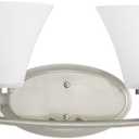 Progress Lighting P2007-09 Bravo Collection Etched Glass Modern Bath Vanity Light, 4-Light, Brushed Nickel