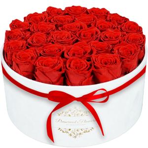 17 Forever Flowers in a Luxury Suede Box, Preserved Roses Birthday Gifts for Women, Romantic Anniversary Mothers Day Gifts for Mom Her Girlfriend Wife Grandma, Red