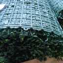 ODTORY Artificial Ivy Privacy Fence Wall Screen: 8FT X 10FT (80 sqft)