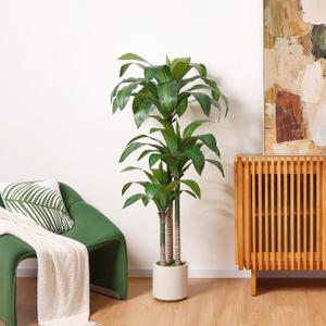 Artificial Dracaena Tree 5ft, Tall Fake Dracaena Plants with White Planter, Faux Dragon Tree Indoor Floor Plant for Home Decor Office Living Room Porch Housewarming, 1Pcs