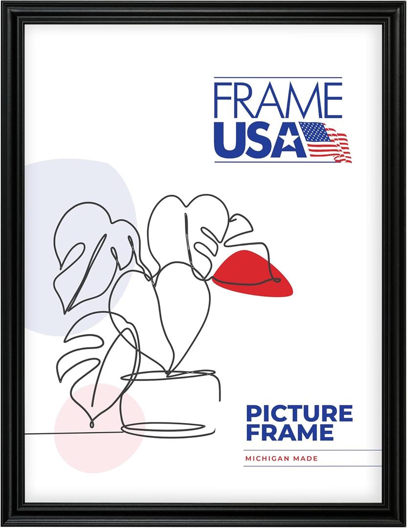 Frame USA 22x26 Picture Frame, Black, Value Added Series, Wall Hanging Frame with High Clarity Plexiglass