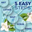 TropiClean SPA Tear Stain Remover for Dogs | Blueberry Facial Shampoo | Odor Eliminator | Tearless | Whitening and Brightening | Made in USA | 8oz.