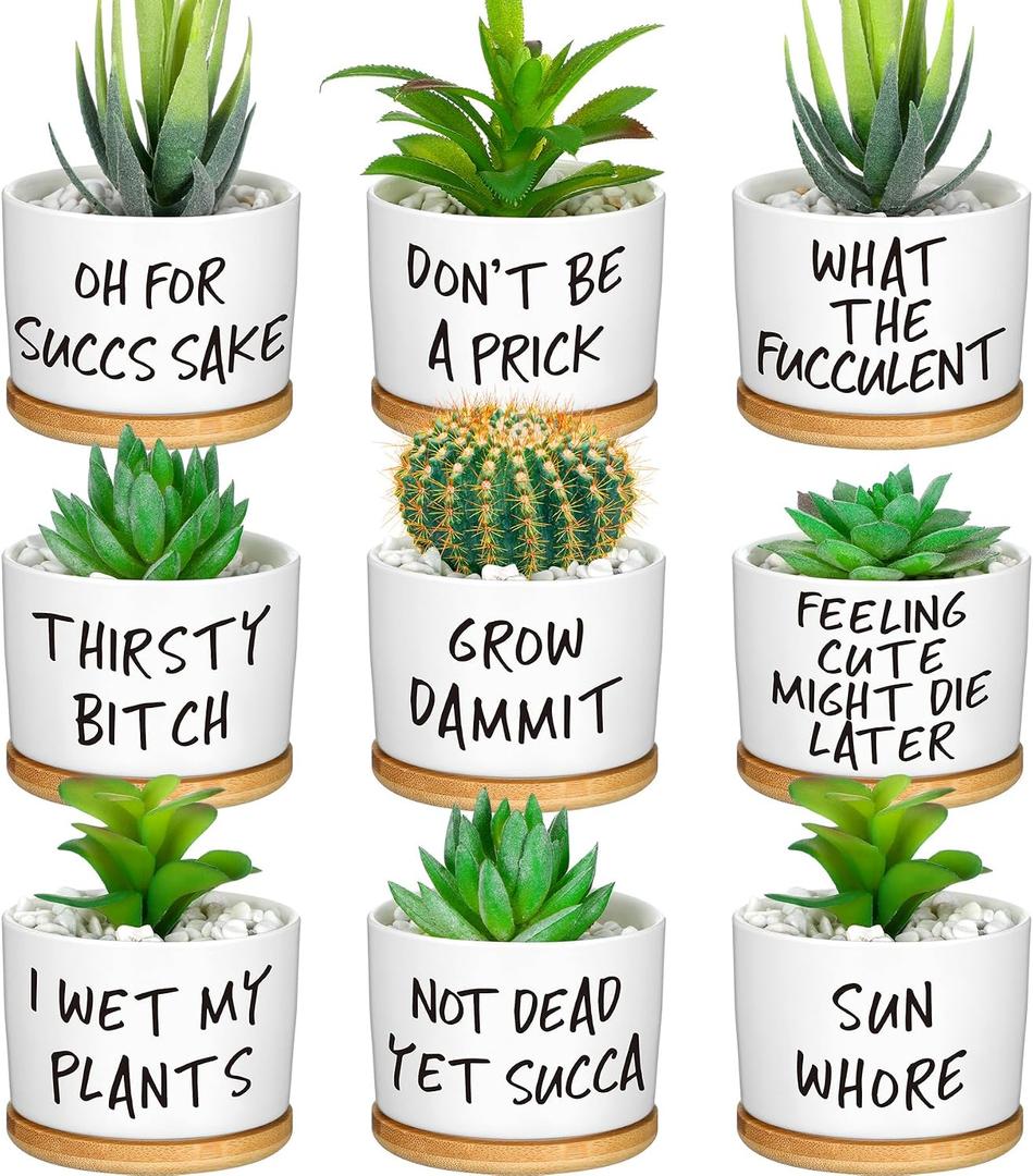 Domensi 9 Pcs Funny Succulent Pots Cute Aloe Cactus Planter with Bamboo Tray Ceramic Accessories White Mini Flower Drainage Tray Pots Indoor Outdoor Plants Birthday Gifts Housewarming Women Coworker