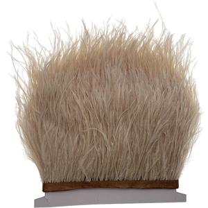 Champagne 2Yard Ostrich Feather Fringe Trim 4-6inch in Width for DIY Costume Sewing Craft Decor Dress Accessories Party Supplies Festival Outfits