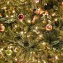 Twinkle Star 300 LED Christmas Mini String Lights, 99 ft Fairy Lights with Safe Adapter for Indoor Outdoor Home Garden Xmas Tree Party Decoration, Warm White