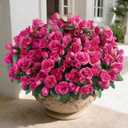 8 Bundles Artificial Rose for Front Door Outdoor Decor, Realistic Fake Silk Bouquets Flowers Faux UV Resistant Real Looking Rose Plants for Garden Balcony Farmhouse Home Spring Summer Decor (Rose Red)