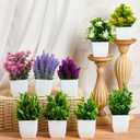 Mimorou 16 Pcs Small Fake Plants Mini Artificial Potted Plants Faux Pot Flowers Indoor Plastic Eucalyptus Greenery for Home Bathroom Living Room Office Decor