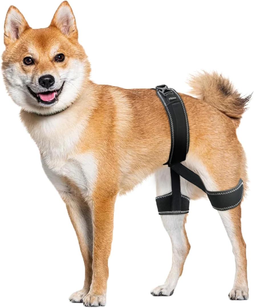CHAMIN Dog Hip Brace  Support Harness for Hip Dysplasia, Joint Pain Relief, Prevents Hip Joint Issues, Orthopedic Support for Dogs(Large)
