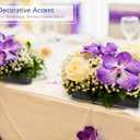 Royal Imports Flower Vase Acrylic Rectangle- Decorative Centerpiece, Succulent Planter Pot for Home or Wedding - Non Breakable Plastic, 4" X12 Low Square - Clear