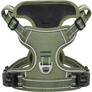 HEELE Dog Harness, No Pull Adjustable Padded Reflective Harness for Dogs with Handle for Walking Training, Green, M