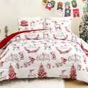 Exclusivo Mezcla Christmas Queen Comforter Set, 3 Pieces Reversible Winter Bedding Comforters Queen Size with Rust Red Printed Trees Reindeer Wreaths Pattern